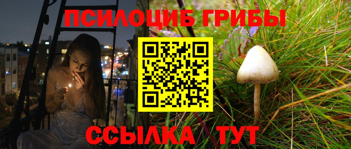 Псилоцибиновые грибы GOLDEN TEACHER Тверь
