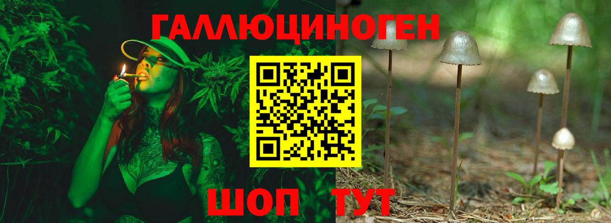 Тверь  Псилоцибиновые грибы Cubensis  закладка  Вход с VPN 